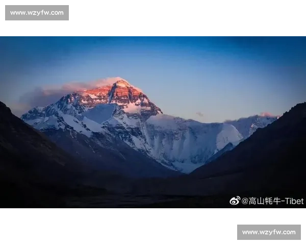 那些年，他们是如何一步步登上世界之巅